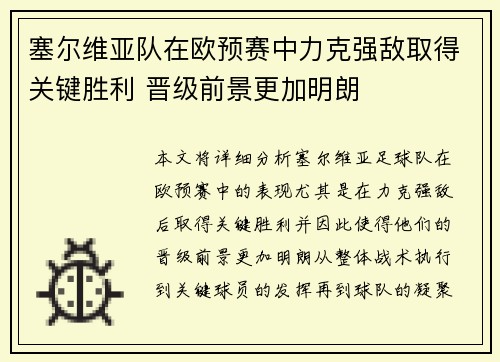 塞尔维亚队在欧预赛中力克强敌取得关键胜利 晋级前景更加明朗